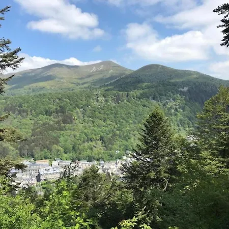 Mont-dore : T2 En Rez-de-jardin, Animaux Acceptes - Fr-1-608-59 * ル・モンドール